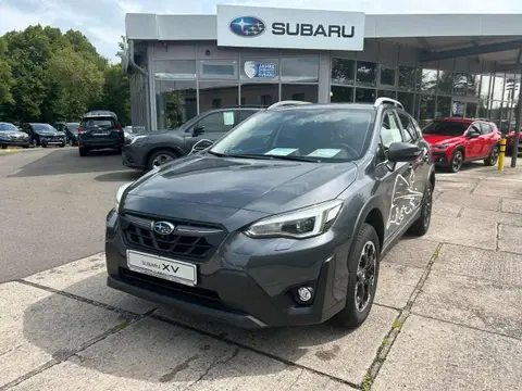 Annonce SUBARU XV Essence 2023 d'occasion 