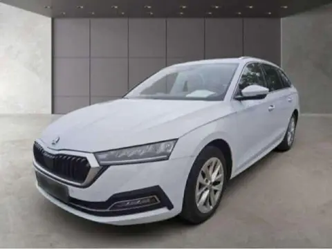 Used SKODA OCTAVIA Diesel 2021 Ad 