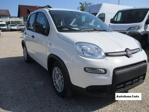 Annonce FIAT PANDA Essence 2024 d'occasion 