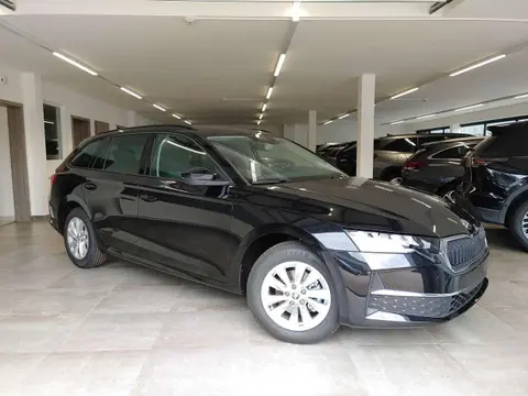 Used SKODA OCTAVIA Petrol 2024 Ad 