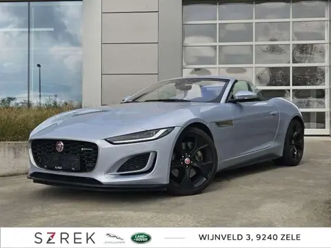 Used JAGUAR F-TYPE Petrol 2021 Ad 