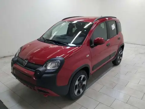 Annonce FIAT PANDA Hybride 2023 d'occasion 