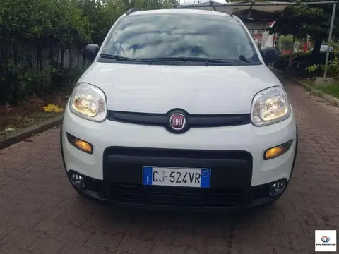 Used FIAT PANDA Petrol 2022 Ad 