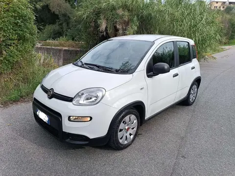 Used FIAT PANDA Hybrid 2023 Ad 