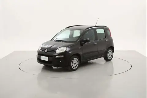 Used FIAT PANDA Petrol 2020 Ad 