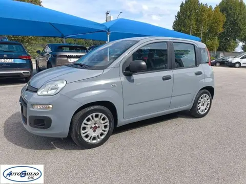 Annonce FIAT PANDA GPL 2019 d'occasion 