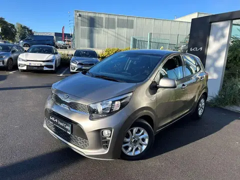 Used KIA PICANTO Petrol 2018 Ad 