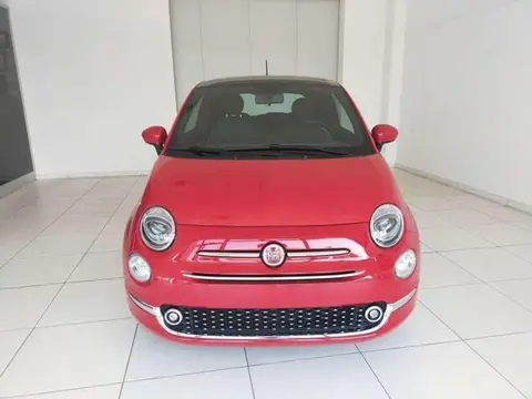 Annonce FIAT 500 Hybride 2024 d'occasion 