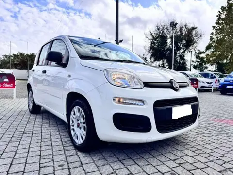 Used FIAT PANDA Petrol 2018 Ad 