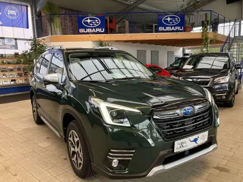 Annonce SUBARU FORESTER Essence 2023 d'occasion 