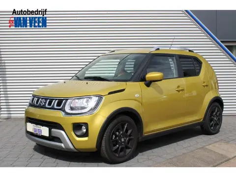 Used SUZUKI IGNIS Petrol 2021 Ad 