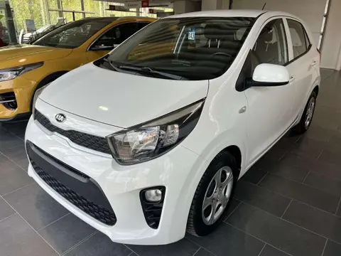 Annonce KIA PICANTO Essence 2017 d'occasion 