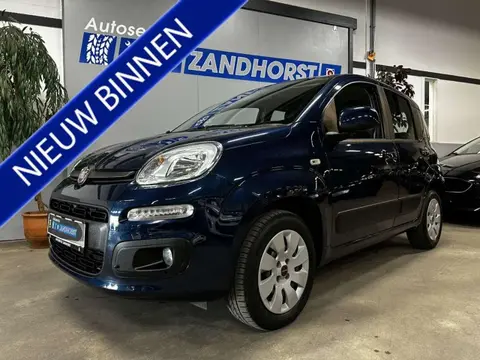 Used FIAT PANDA Petrol 2019 Ad 