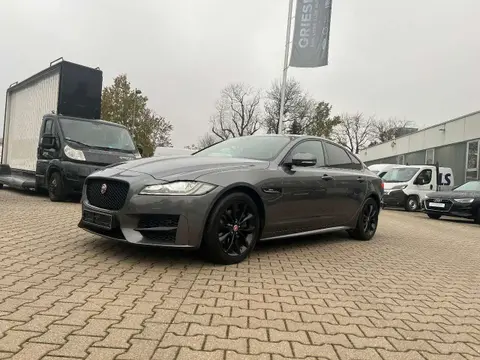 Used JAGUAR XF Diesel 2018 Ad 