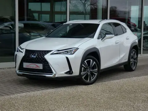 Annonce LEXUS UX Hybride 2022 d'occasion 