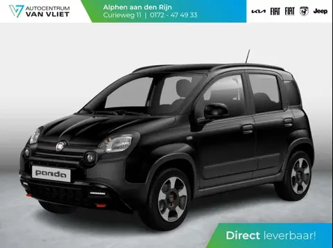 Annonce FIAT PANDA Hybride 2024 d'occasion 