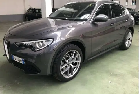 Used ALFA ROMEO STELVIO Diesel 2019 Ad 