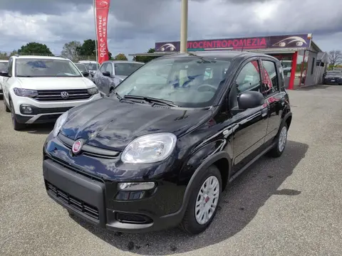 Used FIAT PANDA Hybrid 2024 Ad 