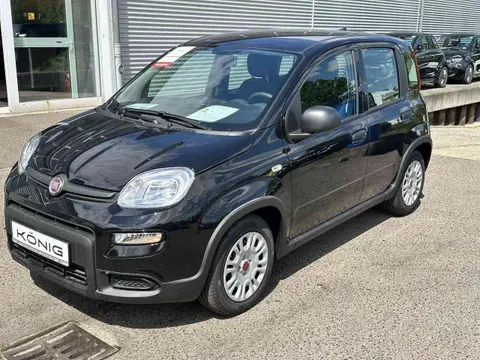 Annonce FIAT PANDA Essence 2024 d'occasion 