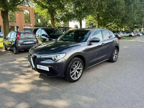 Used ALFA ROMEO STELVIO Petrol 2019 Ad 