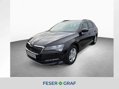 Annonce SKODA SUPERB Diesel 2024 d'occasion 