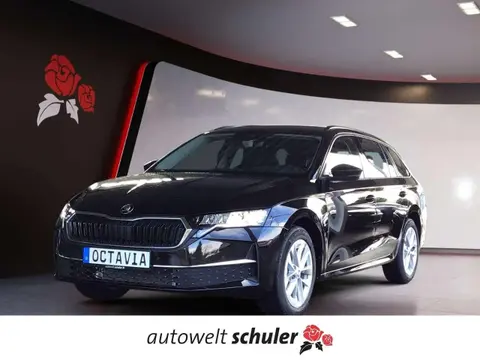 Annonce SKODA OCTAVIA Diesel 2024 d'occasion 