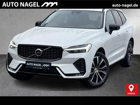 Annonce VOLVO XC60 Essence 2024 d'occasion 