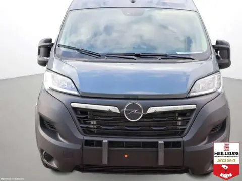 Annonce OPEL MOVANO Diesel 2024 d'occasion 