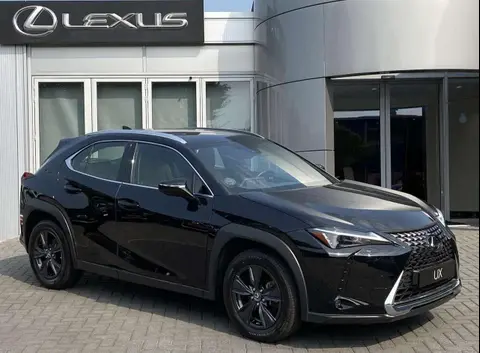 Used LEXUS UX Hybrid 2023 Ad 