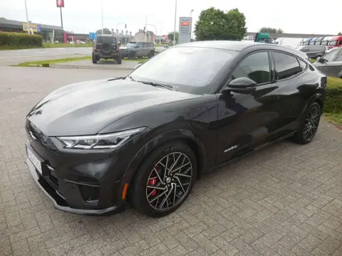 Annonce FORD MUSTANG Électrique 2023 d'occasion Belgique