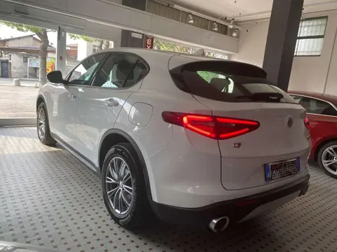 Used ALFA ROMEO STELVIO Diesel 2019 Ad 