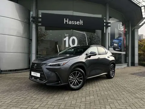 Used LEXUS NX Petrol 2024 Ad 