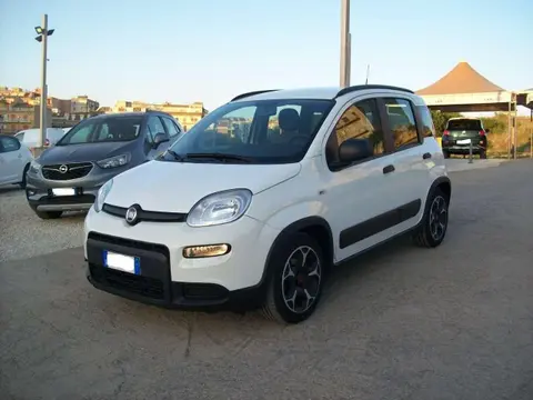 Used FIAT PANDA Petrol 2021 Ad 