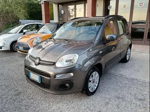 Annonce FIAT PANDA Essence 2019 d'occasion 