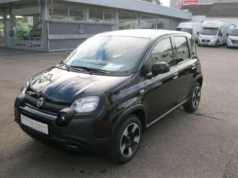 Used FIAT PANDA Petrol 2023 Ad 