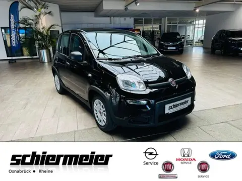 Used FIAT PANDA Petrol 2024 Ad 