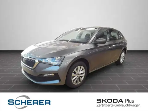 Used SKODA SCALA Petrol 2024 Ad 