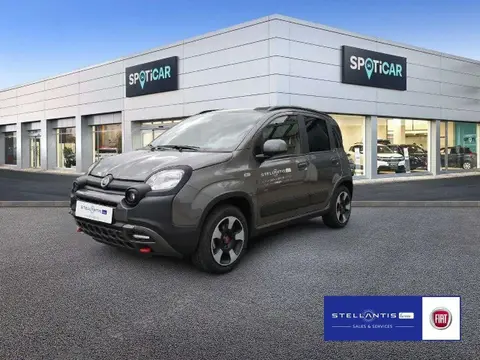 Annonce FIAT PANDA Essence 2024 d'occasion 