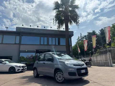 Used FIAT PANDA LPG 2018 Ad 