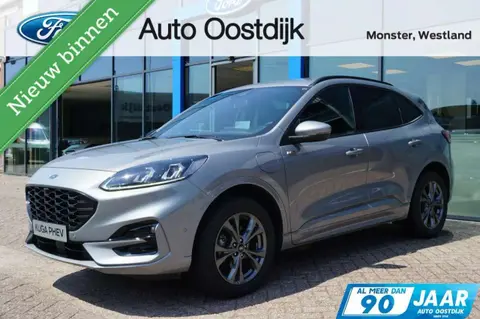 Used FORD KUGA Hybrid 2023 Ad 