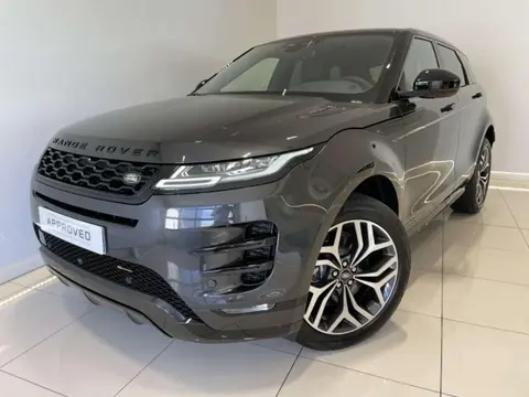 Annonce LAND ROVER RANGE ROVER EVOQUE  2023 d'occasion 