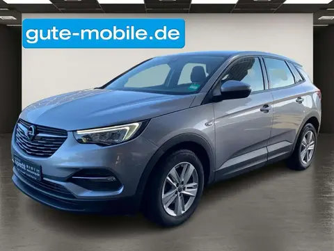 Used OPEL GRANDLAND Petrol 2021 Ad 