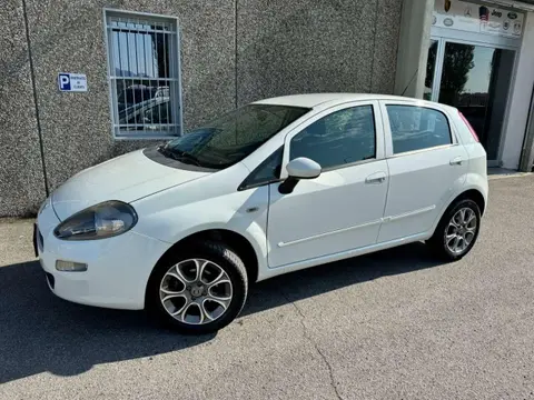 Annonce FIAT PUNTO  2016 d'occasion 