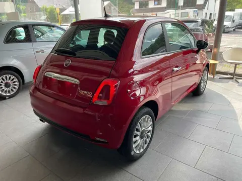 Annonce FIAT 500 Essence 2023 d'occasion Belgique