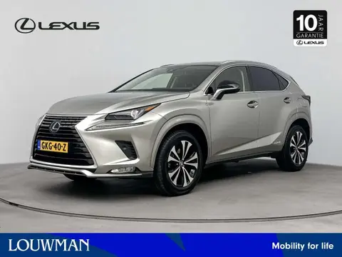 Used LEXUS NX Hybrid 2021 Ad 