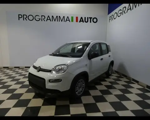 Used FIAT PANDA Hybrid 2024 Ad 