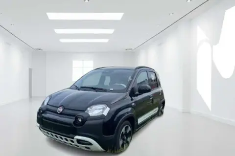 Used FIAT PANDA Hybrid 2024 Ad 