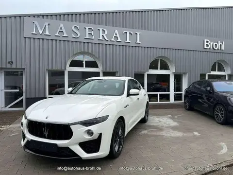 Used MASERATI LEVANTE Petrol 2021 Ad 