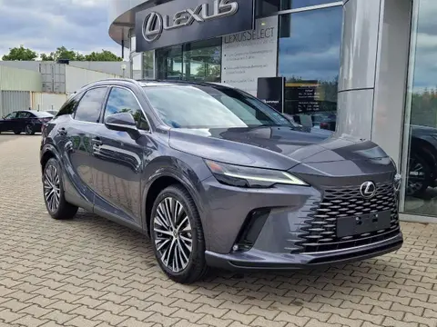 Annonce LEXUS RX Hybride 2024 d'occasion 