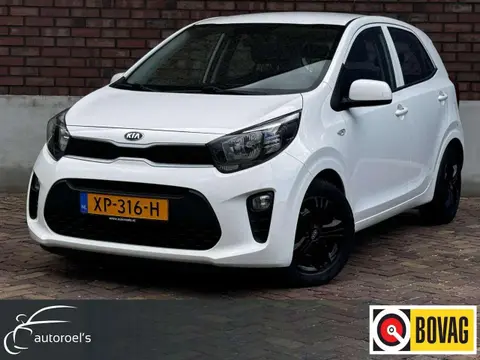 Used KIA PICANTO Petrol 2019 Ad 